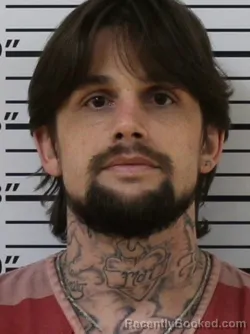 Mugshot of AUSTIN ALLEN LIVINGSTON