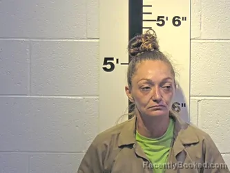 Mugshot of SABRINA L BROWN booked in Claiborne County, Tennessee on June 30, 2026