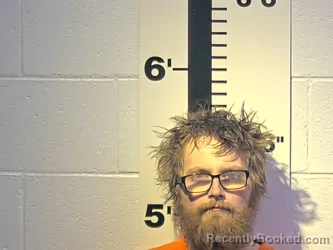 Mugshot of TIMOTHY B JR BROWN