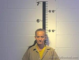 Mugshot of PENNY M COLLINS