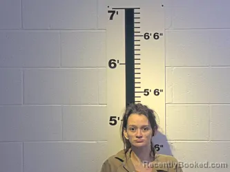 Mugshot of Destiny C Ellis booked in Claiborne County, Tennessee on September 2, 2026