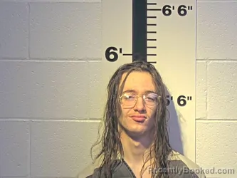 Mugshot of OTTIS M ELY