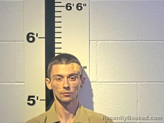 Mugshot of ALVIE L GUST