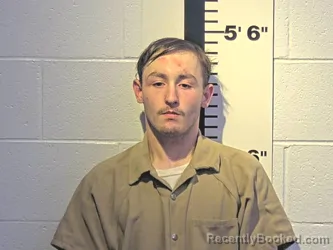 Mugshot of STEVEN C GIBSON booked in Claiborne County, Tennessee on March 28, 2026