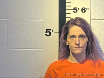 Mugshot of JACKIE N JARNIGAN