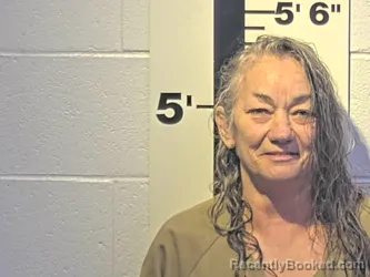 Mugshot of LEANN D JOHNSTON