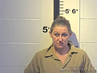 Mugshot of SAMANTHA C JOHNSON - PAINTER