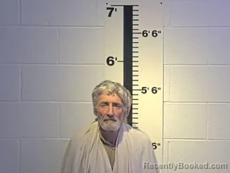 Mugshot of ROBERT L LAMB JR