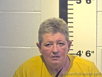 Mugshot of TAMMY L LEWIS