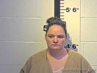 Mugshot of ALLISON M MEYERS booked in Claiborne County, Tennessee on April 16, 2026