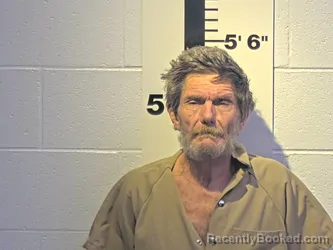 Mugshot of WADE M MASSENGILL