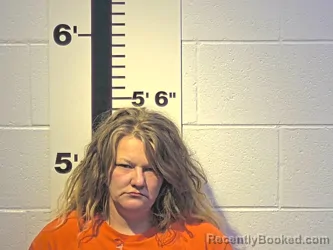 Mugshot of AMANDA C NOE