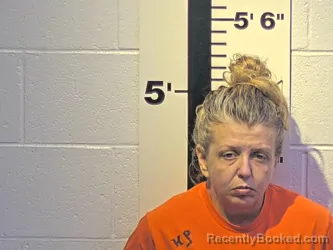 Mugshot of ELISSA N NEELEY