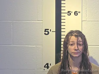 Mugshot of DAVANNA C SIZEMORE booked in Claiborne County, Tennessee on April 16, 2026