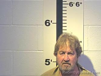 Mugshot of DONNIE R SEALS