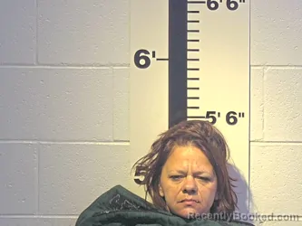 Mugshot of KIMBERLY S STEVENSON