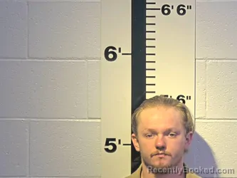 Mugshot of RIDGE H SAMS