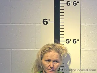 Mugshot of TAMY L YOUNG