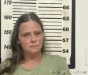 Mugshot of CHRISTI M WHITE booked in Clay County, Tennessee on March 29, 2026