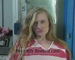 Booking photo from Cocke County, Tennessee