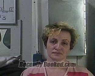 Booking photo from Cocke County, Tennessee