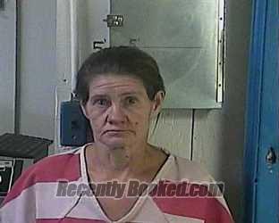 Booking photo from Cocke County, Tennessee