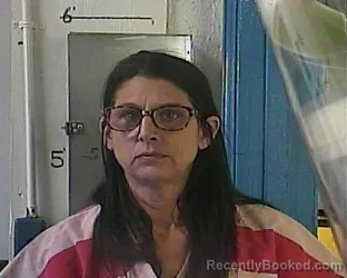 Mugshot of ANN MARIE JOHNSON