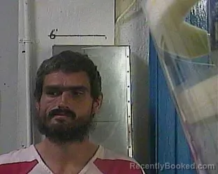 Booking photo from Cocke County, Tennessee