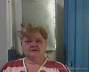 Mugshot of TRACEY FIELDS