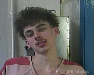 Mugshot of DYLAN TATE FOX