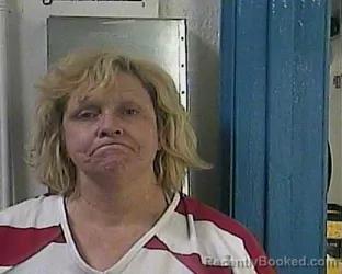 Mugshot of JOAN VERNA AYERS