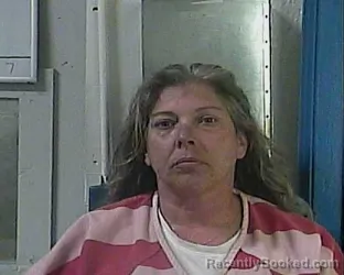 Mugshot of ALLISON HILD-DANIELS