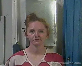 Mugshot of BRITANY WRIGHT