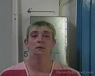 Mugshot of MEGAN ELAINE PHILLIPS