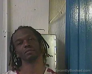 Mugshot of DEONTA A ROBINSON booked in Cocke County, Tennessee on March 13, 2026