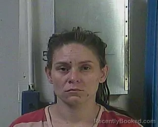 Mugshot of LATOSHA DENEE PRICE booked in Cocke County, Tennessee on March 20, 2026