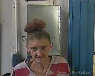 Mugshot of Sherry Denise Tressler