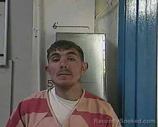 Mugshot of ROBERT JOHN ALLISON booked in Cocke County, Tennessee on March 31, 2026