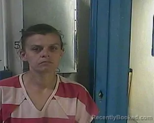 Mugshot of SARAH NICOLE VAUGHN booked in Cocke County, Tennessee on April 1, 2026