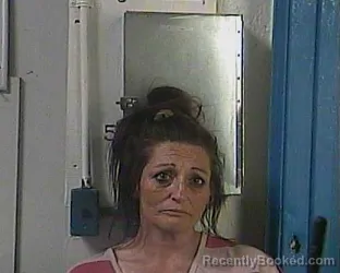 Mugshot of JENNIFER DARLENE BALL booked in Cocke County, Tennessee on April 1, 2026