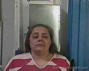 Mugshot of JACQUELYN SUZANNE RACHUBA booked in Cocke County, Tennessee on April 2, 2026