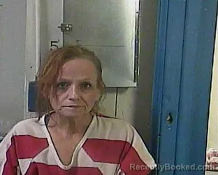 Mugshot of KRISTY RENEE HUNDLEY-ALLEN booked in Cocke County, Tennessee on April 3, 2026