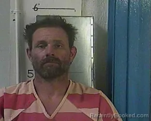 Mugshot of DALE EVAN HELMS booked in Cocke County, Tennessee on April 10, 2026