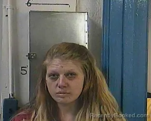 Mugshot of Samantha Ann Rich