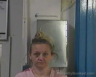 Mugshot of CHERYL DENISE MULLINS booked in Cocke County, Tennessee on April 28, 2026