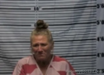 Mugshot of Brenda Lee Clevenger booked in Cocke County, Tennessee on October 22, 2026