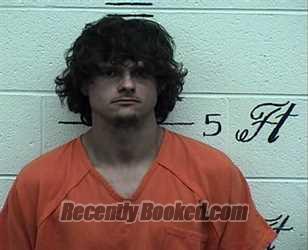 Mugshot of LOGAN D HAMILTON