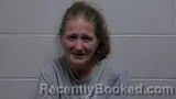Mugshot of DONNA LEIGH BIANCA booked in Giles County, Tennessee on August 1, 2026
