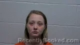 Mugshot of Deanna Sara-Dawn Burch booked in Giles County, Tennessee on August 19, 2026