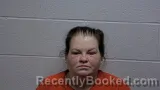 Mugshot of JESSICA H MCCLENDON